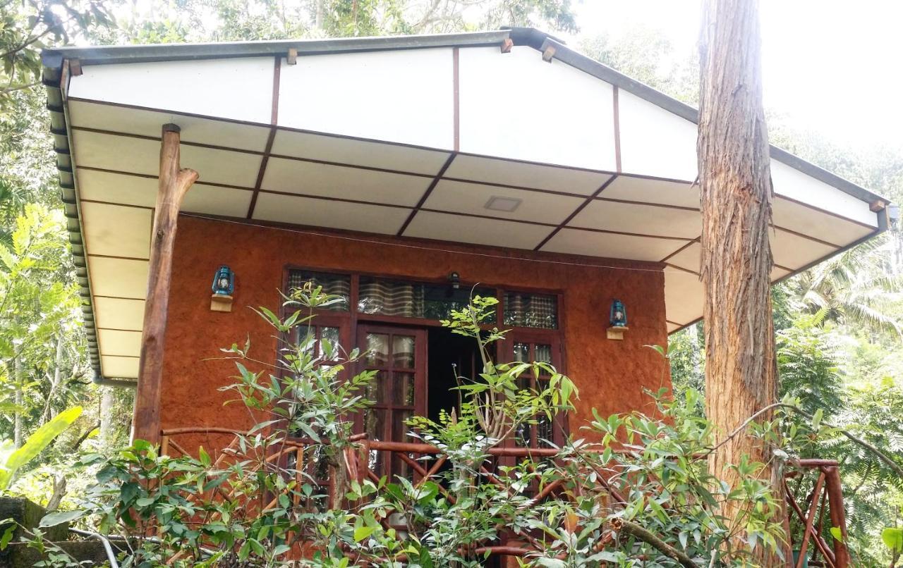 Birds Song Home Ella Exterior photo